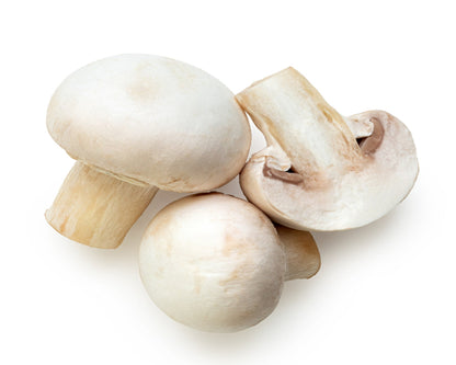 White Mushroom