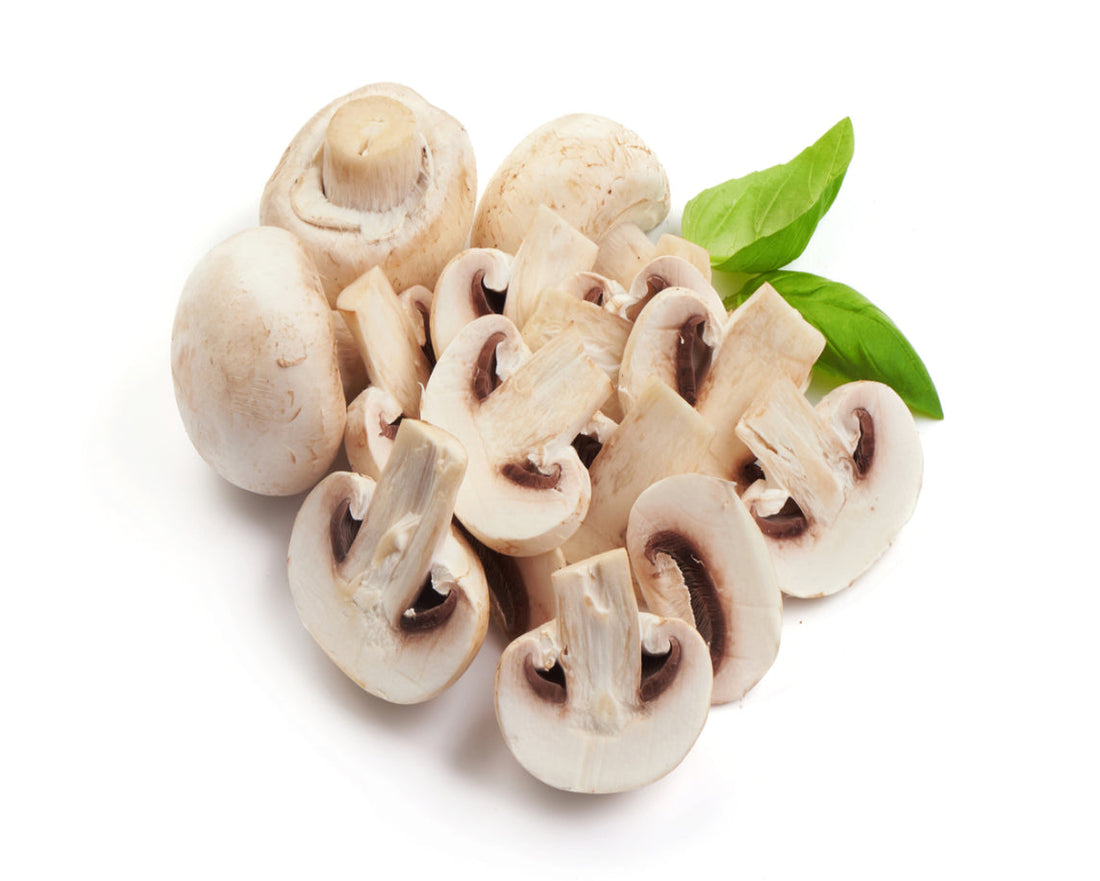 White Mushroom