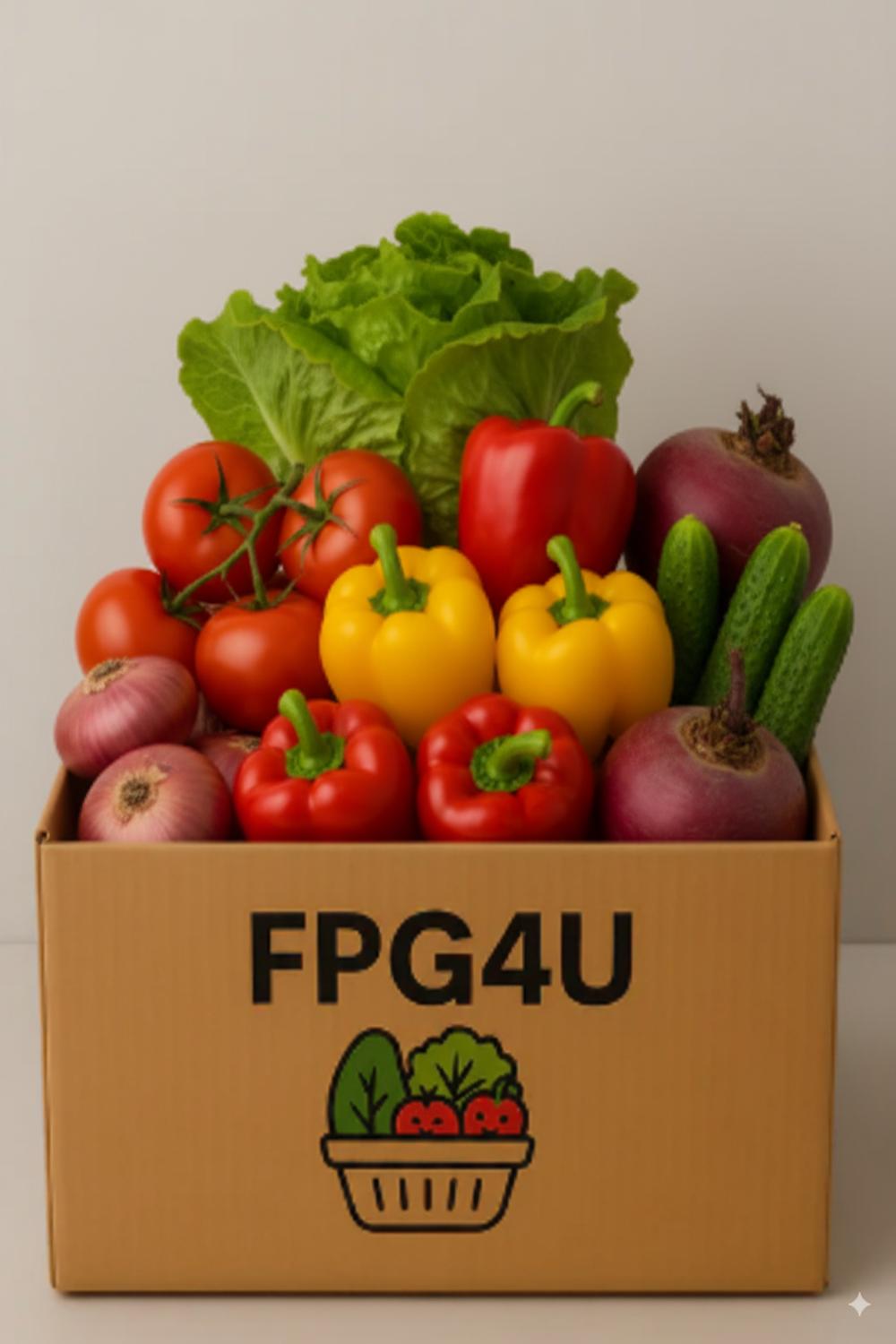 Salad Box XI