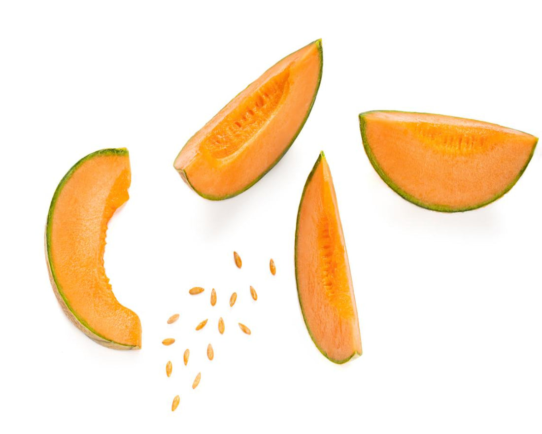 Cantaloupe Melon