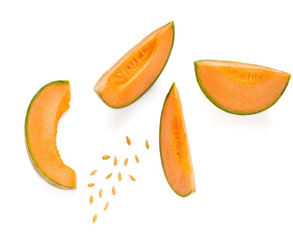 Cantaloupe Melon