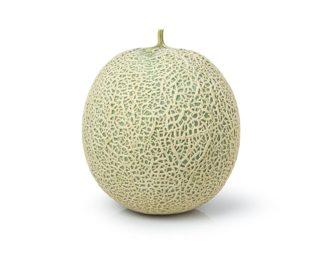 Cantaloupe Melon