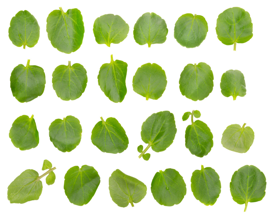 Cress salad