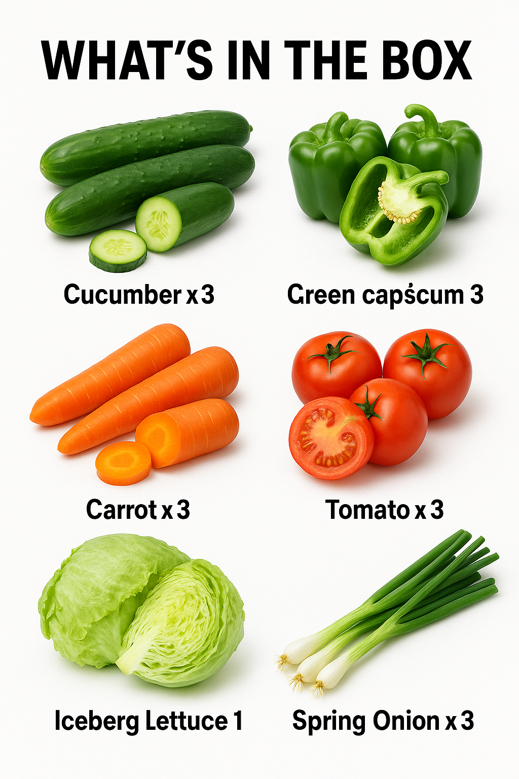 Salad Box III