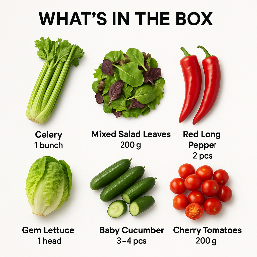 Salad Box I